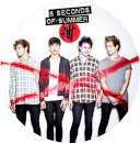 5 Seconds of Summer Edible Icing Image